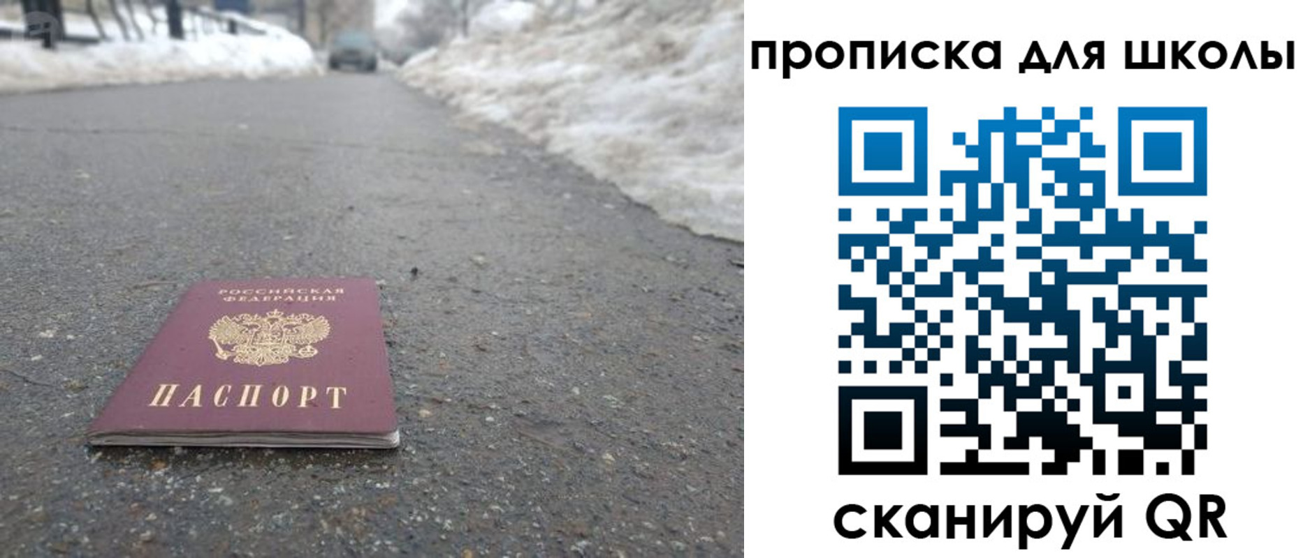 прописка для школы в Курской области
